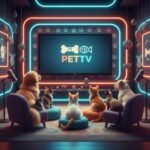 PetTV'de evcil hayvanlar için özel içeriklerle donatılmış TV stüdyosu