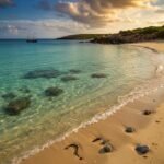 Shallow Water şarkısının teması ve anlamsal incelemesi