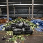 Tayland lahanaların altında uyuşturucu ele geçirildi