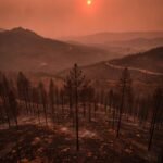 İspanya'nın Almeria bölgesinde orman yangını